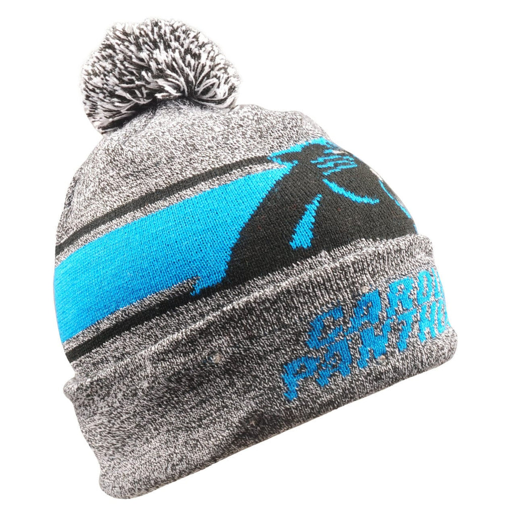 Apparel Beanie Carolina Panthers Beanie Gray Stripe Light Up 192797919747